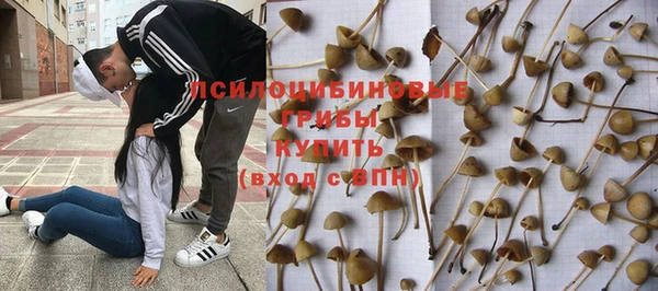 круглые Каменногорск