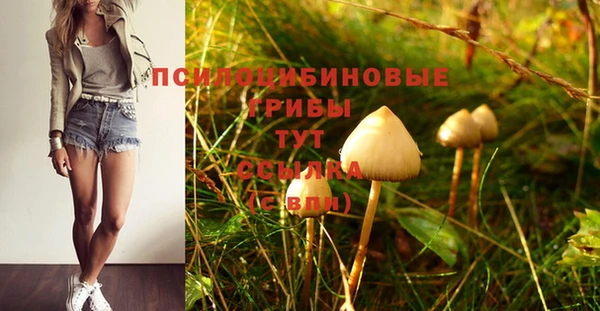 круглые Каменногорск
