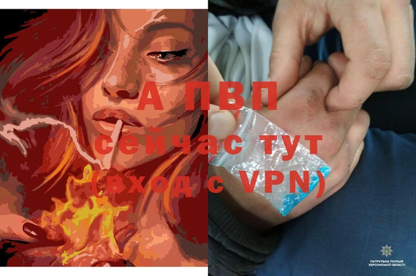 spice Карталы