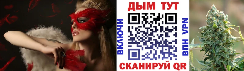 Шишки марихуана гибрид  Купить закладки  Заречный 